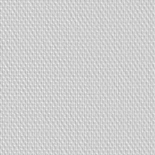 SKINGLASS PREPEINTE MEDIUM 233