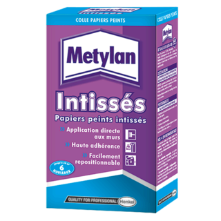 METYLAN INTISSÉS