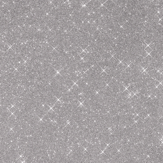 PAILLETTES 80 G (Argent)