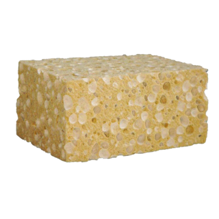 ÉPONGE VÉGÉTALE (L'unité)