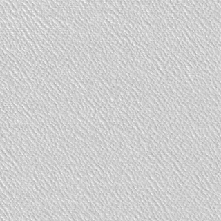 SKINGLASS PREPEINTE CREPI 204