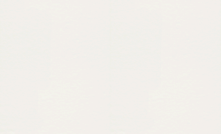 SKINREV VOILE LISSE DECO - CP I